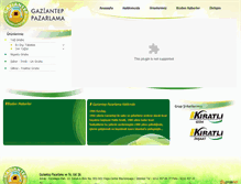 Tablet Screenshot of gazianteppazarlama.com